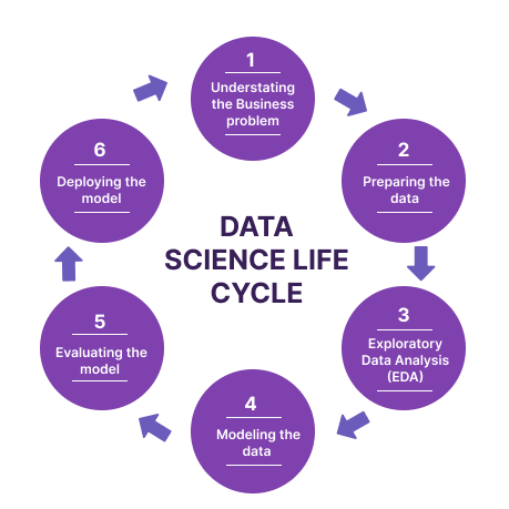 Cycle science hot sale